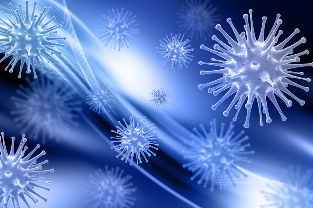 Antigen vs. Antibody: What's the Difference and Why It Matters